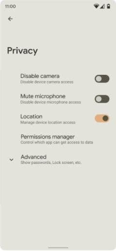 https://www.techboxlab.com.br/images/conteudo/Android/Early-Android-12-Mockup-8.jpg